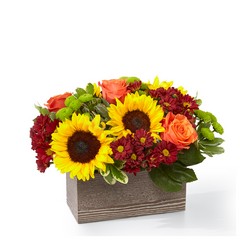 Happy Harvest Garden from Victor Mathis Florist in Louisville, KY